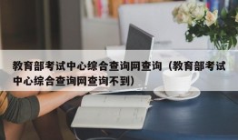 教育部考试中心综合查询网查询（教育部考试中心综合查询网查询不到）