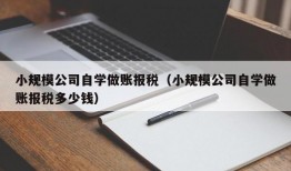 小规模公司自学做账报税（小规模公司自学做账报税多少钱）