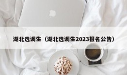 湖北选调生（湖北选调生2023报名公告）