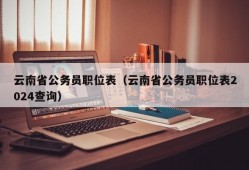 云南省公务员职位表（云南省公务员职位表2024查询）