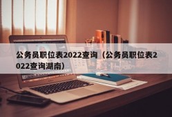 公务员职位表2022查询（公务员职位表2022查询湖南）