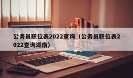 公务员职位表2022查询（公务员职位表2022查询湖南）