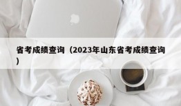 省考成绩查询（2023年山东省考成绩查询）