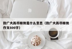 致广大而尽精微是什么意思（致广大而尽精微作文800字）