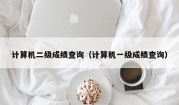 计算机二级成绩查询（计算机一级成绩查询）