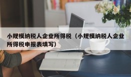 小规模纳税人企业所得税（小规模纳税人企业所得税申报表填写）