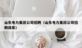 山东电力集团公司招聘（山东电力集团公司招聘简章）