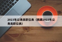 2023年公务员职位表（西藏2023年公务员职位表）