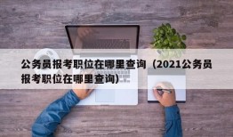 公务员报考职位在哪里查询（2021公务员报考职位在哪里查询）