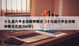 十九届六中全会精神要点（十九届六中全会精神要点总结300字）