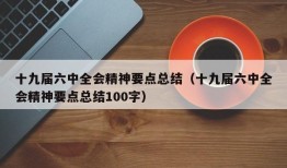 十九届六中全会精神要点总结（十九届六中全会精神要点总结100字）