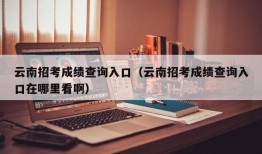 云南招考成绩查询入口（云南招考成绩查询入口在哪里看啊）