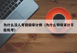 为什么没人考初级审计师（为什么初级审计不能机考）