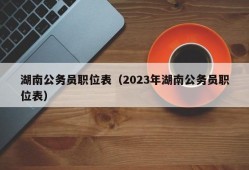 湖南公务员职位表（2023年湖南公务员职位表）