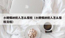 小规模纳税人怎么报税（小规模纳税人怎么报税流程）