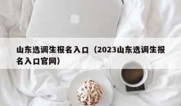 山东选调生报名入口（2023山东选调生报名入口官网）