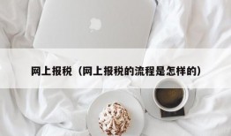 网上报税（网上报税的流程是怎样的）