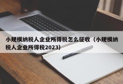 小规模纳税人企业所得税怎么征收（小规模纳税人企业所得税2023）