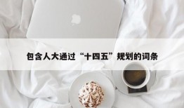 包含人大通过“十四五”规划的词条