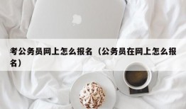 考公务员网上怎么报名（公务员在网上怎么报名）