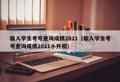 输入学生考号查询成绩2021（输入学生考号查询成绩2021小升初）