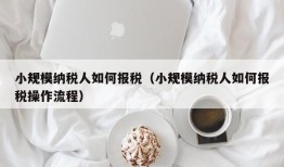 小规模纳税人如何报税（小规模纳税人如何报税操作流程）