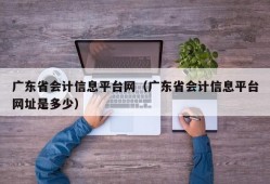 广东省会计信息平台网（广东省会计信息平台网址是多少）