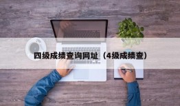 四级成绩查询网址（4级成绩查）