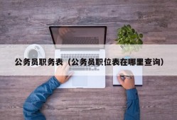 公务员职务表（公务员职位表在哪里查询）