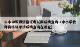 中小学教师资格证考试网成绩查询（中小学教师资格证考试成绩查询在哪查）