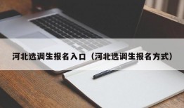 河北选调生报名入口（河北选调生报名方式）