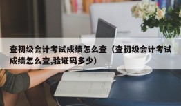 查初级会计考试成绩怎么查（查初级会计考试成绩怎么查,验证码多少）