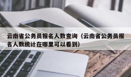 云南省公务员报名人数查询（云南省公务员报名人数统计在哪里可以看到）