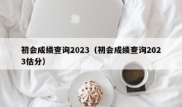 初会成绩查询2023（初会成绩查询2023估分）