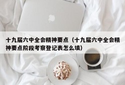 十九届六中全会精神要点（十九届六中全会精神要点阶段考察登记表怎么填）