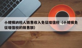 小规模纳税人销售收入免征增值税（小规模免征增值税的销售额）